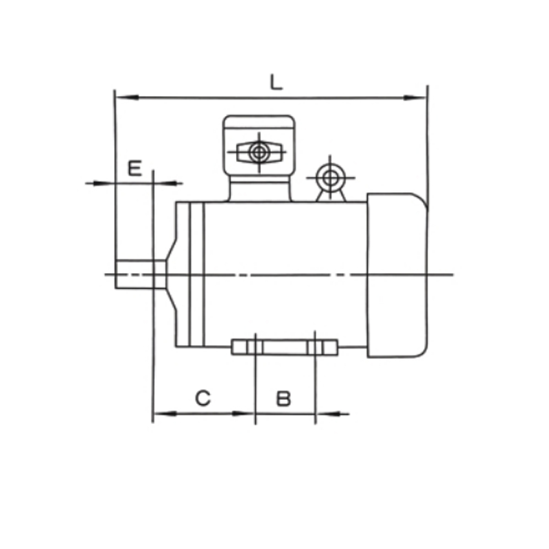 機(jī)座帶底腳、端蓋上無(wú)凸緣的電動(dòng)機(jī)(B3)